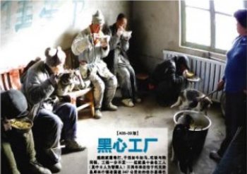 The front page of Xinjiang Metropolis News, showing the derelict conditions of the kidnapped, mentally handicapped slave laborers. (Xinjiang Metropolis News) The front page of Xinjiang Metropolis News, showing the derelict conditions of the kidnapped, mentally handicapped slave laborers. (Xinjiang Metropolis News)
